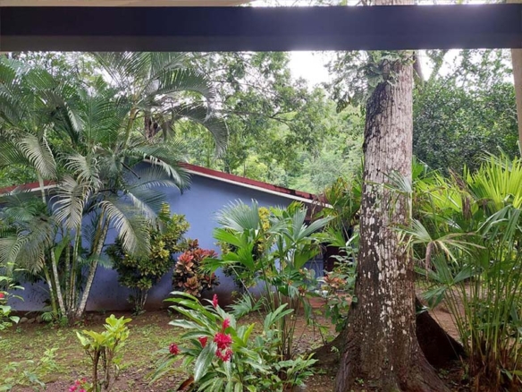 Los Tucanes, Suite #1. Jaco Costa Rica Real estate.