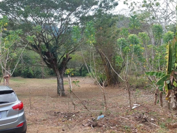 1.129 Acre Lot in Las Monas, Jaco For sale